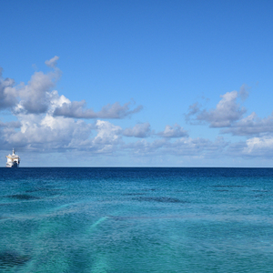老师洗澡一级毛片
